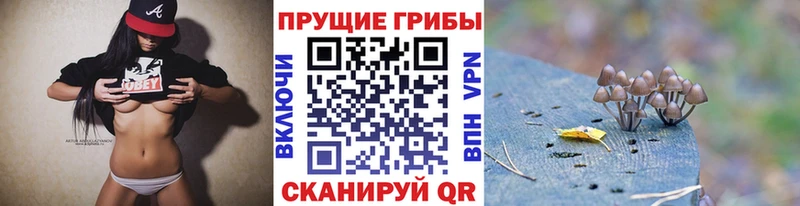 ссылка на мегу ССЫЛКА  Корсаков  Псилоцибиновые грибы мицелий 